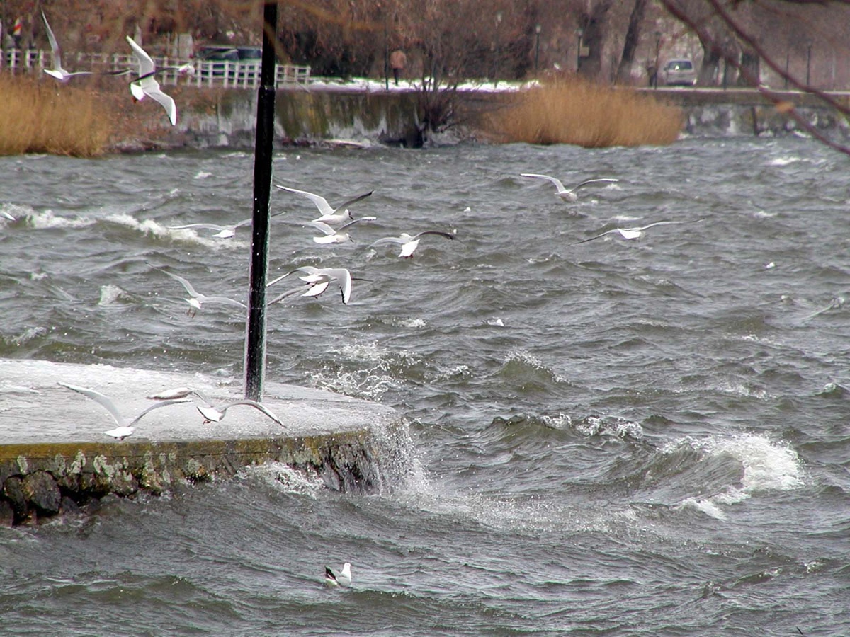 Πτώση θερμοκρασίας με λίγες νεφώσεις - Από το Σάββατο επιστρέφει ο βαρύς χειμώνας