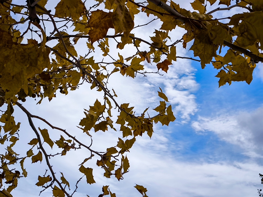 Αίθριος καιρός σε όλη τη χώρα