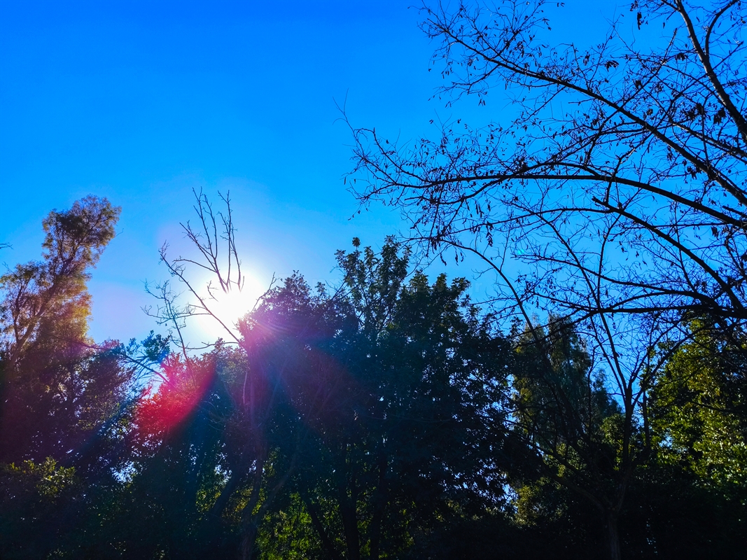 Αίθριος καιρός με ηλιοφάνεια