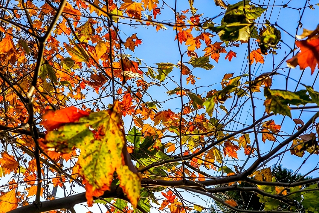 Ανοιξιάτικος καιρός με μικρή άνοδο της θερμοκρασίας