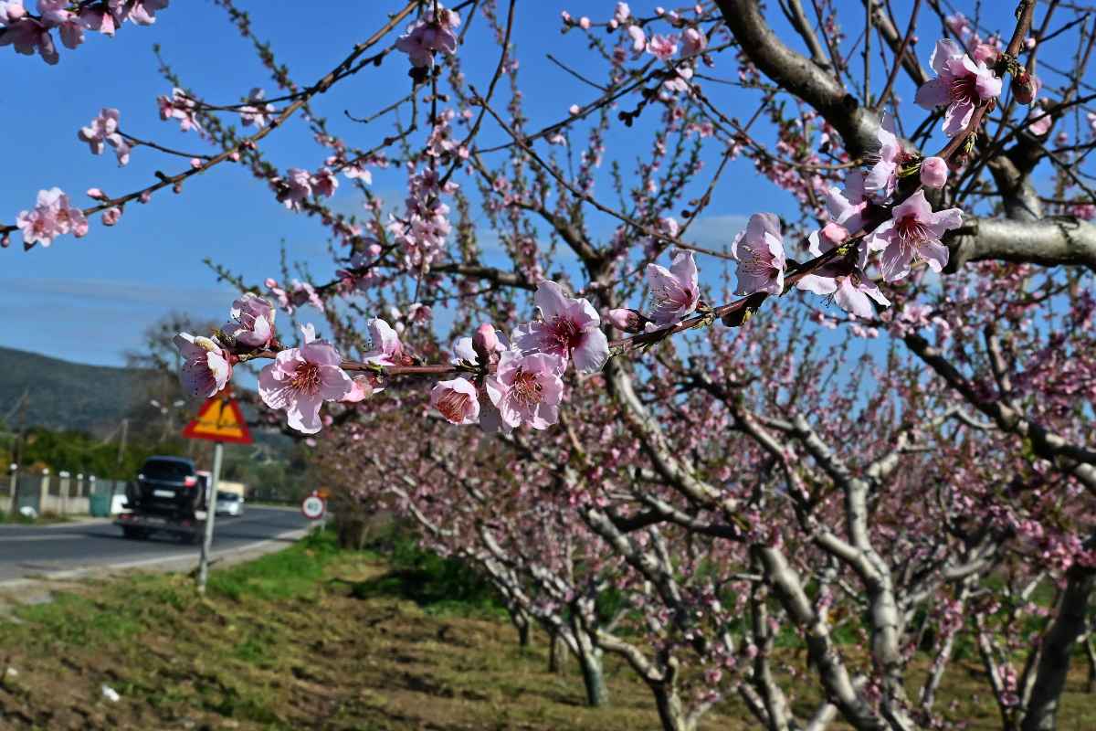 Καιρός: Ανοιξιάτικη εικόνα με πρόσκαιρες βροχές και ισχυρούς ανέμους στο Αιγαίο