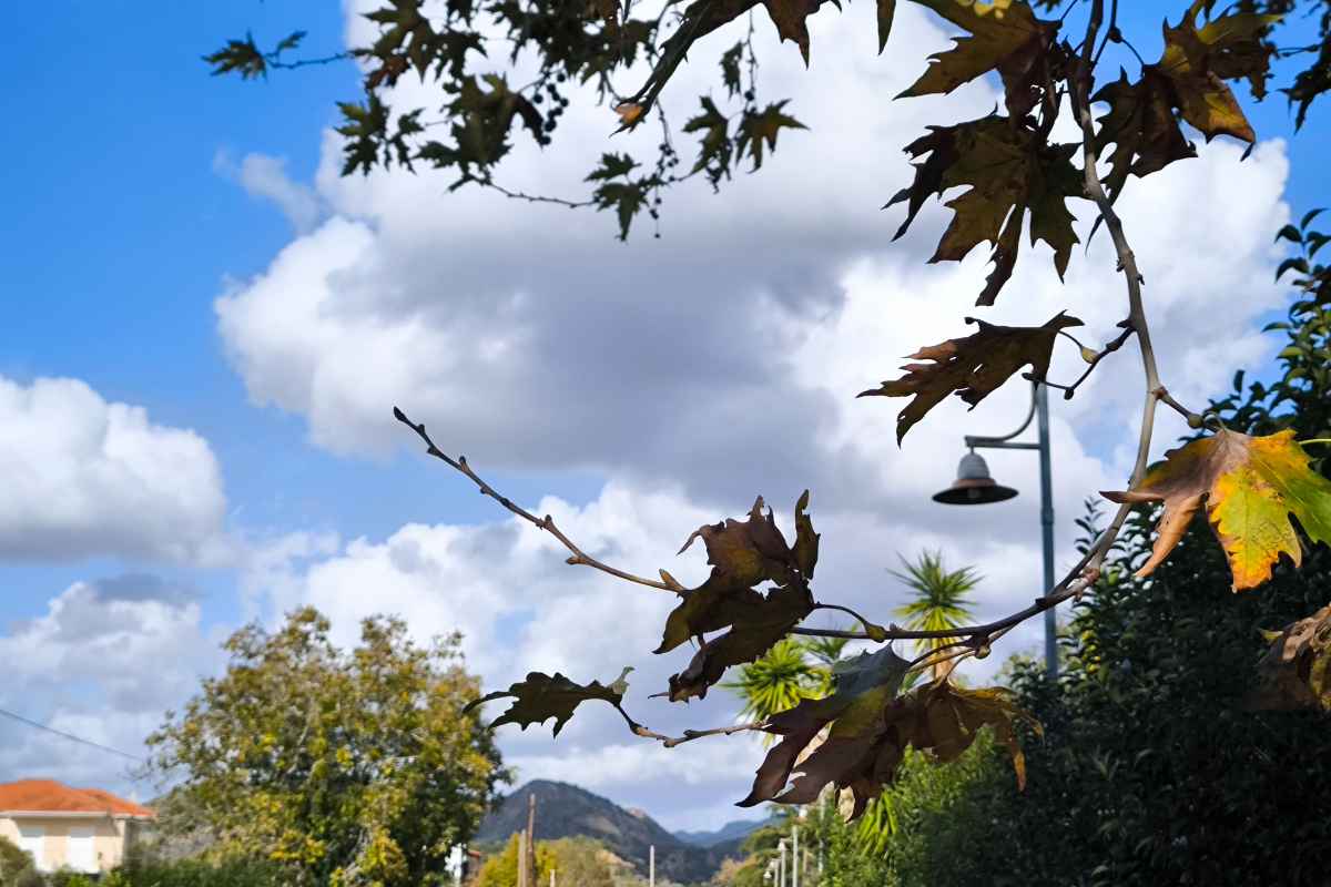 Καιρός: Λίγες τοπικές βροχές σήμερα, με ήπιες θερμοκρασίες για την εποχή