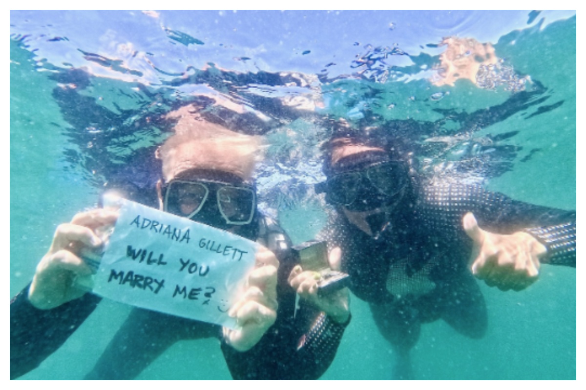 Τραγουδιστής έκανε πρόταση γάμου στην σύντροφό του ανάμεσα... σε καρχαρίες!